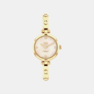 Cary Women Quartz Gold Dial Analog Stainless Steel Watch 14504006