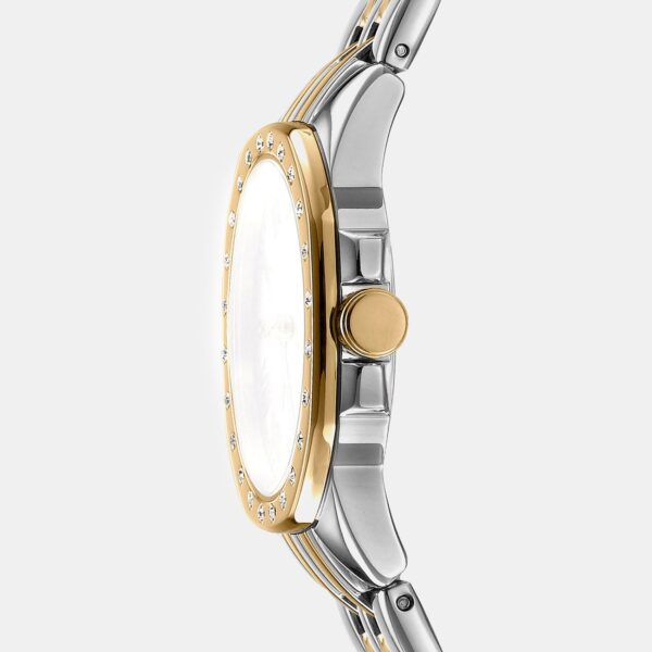 Brooklyn Mini Women Quartz Green Dial Analog Stainless Steel Watch DK1L013M0095