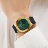 Men Quartz Green Dial Analog Silicone Watch GW1005G2