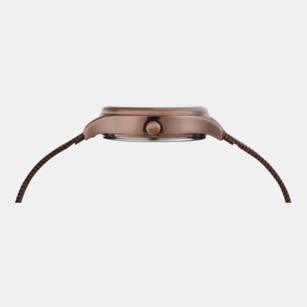 TW0TL8718_2 Fashion Women Quartz Brown Dial Analog Mesh Watch TW0TL8718