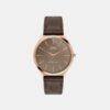 TWEG34200 Signio Men Quartz Brown Dial Analog Leather Watch TWEG34200